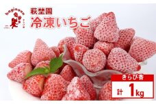 冷凍 いちご 1kg 冷凍 いちご 選べる 容量 期間限定 苺  完熟 きらぴ香 いちご 冷凍いちご きらぴ香 きらぴか 果物 ふるーつ フルーツ 果汁 果実 冷凍食品 冷凍 苺 スイーツ いちご イチゴ ストロベリー デザート フルーツ スイーツ アイス ジャム シャーベット ベリー 氷菓 冷凍 甘い 数量限定 小分け オススメ ギフト 人気 国産 新鮮 農家直送 萩埜園 牧之原市 静岡 県