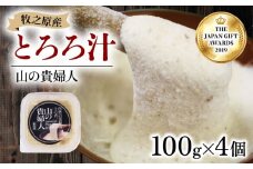 【ZIP!の「水卜あさみと一緒に朝ごはん」で紹介されました!】 【 期間限定 10000円 】冷凍 自然薯 とろろ汁 山の貴婦人 100g × 4個 とろろ 山芋 ヤマイモ 山いも じねんじょ 食欲増進 食品 ご飯お供 健康 栄養 夏バテ 個包装 小分け お取り寄せ ギフト グルメ 贈答 プレゼント 人気 国産 安心 静岡自然薯 ごはん お米 送料無料 牧之原自然薯 静岡県 牧之原市 尾白弁当