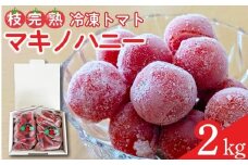 冷凍 トマト 中玉 2kg 以上 マキノハニー 枝完熟 トマト トマトップ 高 リコピン うまみ 甘い 新鮮 野菜 産地直送 やさい ビタミン おすすめ 人気 送料無料 冷凍トマト 果物 フルーツ くだもの やさい 日常 普段使い サラダ 産地直送 栄養 健康 美容 夏 夏バテ 予防 熱中症対策 熱中症予防 さっぱり 静岡県 牧之原市