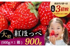 【発送月が選べる】 紅ほっぺ 超大粒 900g いちご 冷蔵発送 べにほっぺ 苺 イチゴ 1箱 ゆりかーご 土耕栽培 フルーツ 果物 スイーツ デザート 朝摘み ストロベリー おやつ 完熟 直送 ギフト 家庭用 贈答用 贈答 ギフト 贈り物 甘い ブランド ジャム アレンジ 農家直送 ベリー 産地直送 国産 おすすめ 森木農園 静岡県 牧之原市 ~土耕栽培だから濃くて甘い!~