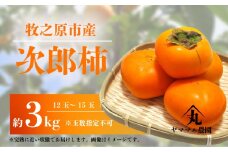 【先行予約】次郎柿 3kg 12玉 ～ 15玉 2025年11月上旬より順次発送予定 数量限定 柿 かき カキ 次郎柿 じろうがき 果物 くだもの フルーツ 旬 旬の果物 農家直送 産地直送 贈答用 柿 カキ プレゼント ギフト お歳暮 甘い 果実 美味しい おすすめ 季節限定 国産 新鮮 牧之原柿 静岡柿 ヤママル農園 牧之原市 静岡県