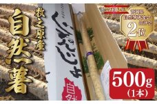 【 予約受付 】自然薯 500g 1本 じねんじょ 山芋 ヤマイモ 山いも とろろ とろろ汁 国産 滋養強壮 強壮 とろろご飯 ご飯のお供 健康 栄養 美味しい おいしい 自宅用 家庭用 贈答用 贈答 贈り物 ギフト プレゼント おすすめ オススメ 産地直送 農家直送 産直 直送 静岡県産 牧之原産 お土産 とろろごはん やまいも 野菜 芋 イモ 和食 ご飯 ごはん やまあい農園 静岡県 牧之原市