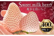 いちご 白いちご 計 400g 計 2 パック 高級 白 イチゴ 苺 セット Sweet milk berry  2 パック 200g × 2 パック フルーツ 果物 ストロベリー 産地直送 国産 スイーツ デザート くだもの イチゴ 果物 贈答用 ギフト 畠農宝 静岡県 牧之原市