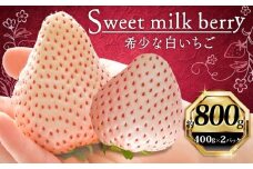 いちご 白いちご 計 800g 計 2 パック 高級 白 イチゴ 苺 セット Sweet milk berry  2 パック 400g × 2 パック フルーツ 果物 ストロベリー 産地直送 国産 スイーツ デザート くだもの イチゴ 果物 贈答用 ギフト 畠農宝 静岡県 牧之原市