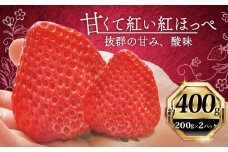 いちご 紅ほっぺ 計 400g 計 2 パック 高級 イチゴ 苺 セット べにほっぺ  2 パック 200g × 2 パック フルーツ 果物 ストロベリー 産地直送 国産 スイーツ デザート くだもの イチゴ 果物 贈答用 ギフト 畠農宝 静岡県 牧之原市