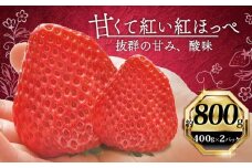 いちご 紅ほっぺ 計 800g 計 2 パック 高級 イチゴ 苺 セット べにほっぺ  2 パック 400g × 2 パック フルーツ 果物 ストロベリー 産地直送 国産 スイーツ デザート くだもの イチゴ 果物 贈答用 ギフト 畠農宝 静岡県 牧之原市