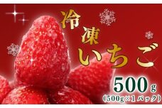 高級 冷凍 いちご ベリーポップすず & 紅ほっぺ  MIX 500g 小分け ギフト 朝採り スイーツ フルーツ  フローズン 氷 果物  上品 大粒 完熟 イチゴ 苺 ストロベリー ベリー 新鮮 国産 1袋 デザート おいしい 贈り物 果物 ストロベリー 甘い 朝摘み おやつ 完熟 直送 ギフト 贈答用 産地直送 国産 おすすめ 静岡 県 牧之原 市 極実屋 KIWAMIYA