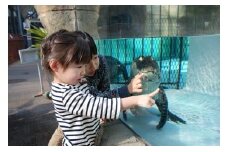 熱川バナナワニ園 入園 招待券 2枚 A004 ／ 熱帯 動植物園 チケット 静岡県 東伊豆町