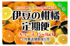 東伊豆産　伊豆の柑橘　定期便　Aコース　D010／収穫体験農園ふたつぼり　はるか　伊予柑　オレンジ　甘夏　みかん　静岡県　東伊豆町
