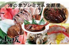 伊豆半島　海の幸　プレミアム　定期便　10回　H003／山田屋海産　海老　鯛　海鮮　静岡県　東伊豆町