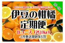 東伊豆産　伊豆の柑橘　定期便　Bコース　E013／収穫体験農園ふたつぼり　はるか　伊予柑　オレンジ　甘夏　みかん　静岡県　東伊豆町