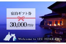 伊豆北川温泉「望水」ふるさと納税宿泊ギフト券（30000円分）　E011／チケット　温泉宿　ギフト券　静岡県　東伊豆町