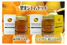 果実　ジャム　6個セット　A022／収穫体験農園ふたつぼり　はちみつ　みかん　オレンジ　静岡県　東伊豆町