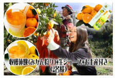 みかん狩り　収穫体験　搾りたて　生ジュース　お土産付　2名様　B018／収穫体験農園ふたつぼり　静岡県　東伊豆町