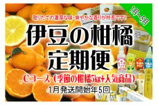 東伊豆産　伊豆の柑橘　定期便　Cコース　E014／収穫体験農園ふたつぼり　はるか　伊予柑　オレンジ　甘夏　みかん　静岡県　東伊豆町