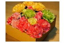 カーネーション フラワーボックス （花瓶・水やり不要） 1006 ／ 3Cフラワープロジェクト 静岡県 東伊豆町 母の日 ギフト 誕生日 プレゼント 女性 祝い お見舞い 贈り物