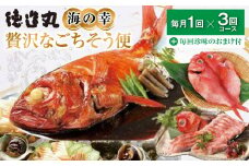 （冷凍） 贅沢なごちそう定期便 毎月1回×3回コース＋毎回人気の珍味付き E017 ／ 徳造丸 金目鯛 海の幸 海鮮 静岡県 東伊豆町