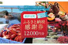 東伊豆町 ふるさと納税 感謝券 12000円 1069 ／ 静岡県 旅行 宿泊 食事 観光 チケット クーポン 補助 リフォーム ホテル 動物園 海鮮 みかん 金目鯛 稲取 熱川 ギフト 土産