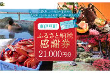 東伊豆町 ふるさと納税 感謝券 21000円 1072 ／ 静岡県 旅行 宿泊 食事 観光 チケット クーポン 補助 リフォーム ホテル 動物園 海鮮 みかん 金目鯛 稲取 熱川 ギフト 土産