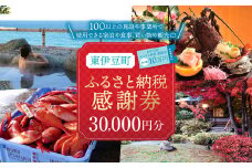 東伊豆町 ふるさと納税 感謝券 30000円 1075 ／ 静岡県 旅行 宿泊 食事 観光 チケット クーポン 補助 リフォーム ホテル 動物園 海鮮 みかん 金目鯛 稲取 熱川 ギフト 土産