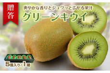 キウイフルーツ 贈答 5個 1274 ／ 佐藤農園 果物 フルーツ 農家直送 静岡県 東伊豆町