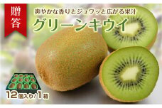 キウイフルーツ 贈答 12個 1275 ／ 佐藤農園 果物 フルーツ 農家直送 静岡県 東伊豆町