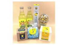 大容量 ニューサマーオレンジづくし お菓子 サイダー 詰め合わせ セット 1287 ／ 東伊豆町