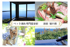 愛犬と泊まる源泉かけ流しの湯宿 湯宿福の湯 休前日限定宿泊券1泊2食付き1室2名様ご利用 1292 ／ 福の湯 静岡県 東伊豆 伊豆 愛犬 ペット