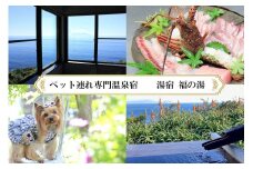 愛犬と泊まる源泉かけ流しの湯宿 湯宿福の湯 休前日限定宿泊券1泊2食付き1室2名様ご利用 1292 ／ 福の湯 静岡県 東伊豆 伊豆 愛犬 ペット