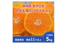糖度11％以上　JAふじ伊豆　伊豆太陽のハウスみかん　5kg　静岡県産 1312 ／JAふじ伊豆 ハウスみかん みかん 静岡県 東伊豆町