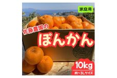 東伊豆・佐藤農園のポンカン　家庭用10kg（Mサイズ～3Lサイズ） 1323 ／ 佐藤農園 果物 フルーツ 農家直送 静岡県 東伊豆町