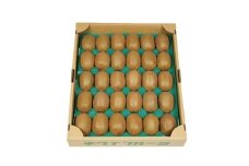 東伊豆・佐藤農園のキウイ　家庭用　約2.5kg（Mサイズ～3Lサイズ） 1332 ／ 佐藤農園 果物 フルーツ 農家直送 静岡県 東伊豆町