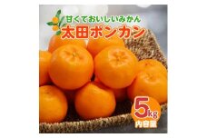 【1月配送】ポンカン　赤秀（最高級）　5kg　JAふじ伊豆　静岡県産 1381 ／ JAふじ伊豆 太田ポンカン 赤秀 贈り物 静岡県 東伊豆町