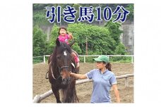 天城ホースビレッジ 施設利用券 引き馬10分（にんじん付き） [№5227-0008]