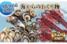 【アワビについて注意事項あり】 伊勢海老 アワビ サザエ 定期便 年2回 海からのお届け物 伊勢エビ 3～8匹 さざえ 4～15個 あわび 3～5枚 伊勢えび 海老 エビ えび 鮑 貝 魚介 魚介類 海鮮 海鮮セット セット 詰め合わせ 冷蔵 刺身[№5227-0074]
