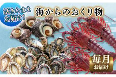 【アワビについて注意事項あり】伊勢海老 アワビ サザエ 定期便 年12回 海からのお届け物 ワカメ ひじき はんばのり 干物 伊勢エビ さざえ あわび わかめ 海苔 天草 煮魚 惣菜 えび 鮑 貝 魚 魚介 魚介類 海鮮 [№5227-0077]