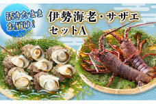 活 伊勢海老 サザエ セット A とれたて 活き伊勢海老 2～3匹 活サザエ 4～15匹 詰め合わせ 伊勢えび 海老 エビ えび 貝 魚介 魚介類 海鮮 海鮮セット 活きたまま 冷蔵 静岡 静岡県 河津町 [№5227-0079]