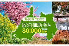 宿泊券 伊豆 たっぷり河津旅 宿泊補助券 30000円 チケット クーポン 旅行券 温泉 源泉かけ流し 旅行 観光 ホテル 旅館 宿泊 宿泊クーポン 宿泊チケット 補助券 3万円 静岡 静岡県 河津町 [№5227-0097]