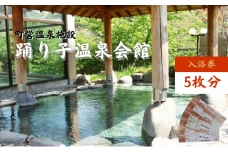 踊り子温泉会館 【入浴券 5枚分】 チケット 峰温泉 温泉 入浴 レジャー 大浴場 回数券 露天風呂 泡風呂 サウナ 癒し 河津町 河津 [№5227-0483]