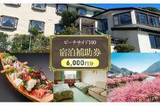 ビーチサイド100 【6,000円分】 宿泊補助券 貸し切り 貸切 オーシャンビュー 温泉 今井浜温泉 河津 河津町 静岡 伊豆 宿泊券 旅行 観光 国内旅行 家族旅行 ファミリー カップル グループ 河津桜 海水浴 [№5227-0486]