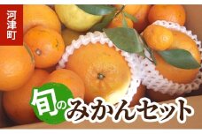 みかん 河津町旬のみかんセット ミカン セット 旬の果物 フルーツ 果実 ニューサマーオレンジ 甘夏 不知火 早生ミカン はるみ ポンカン 河津町 静岡県 [№5227-0540]