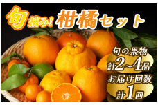 湯の花　旬のフルーツセット　【 みかん 果物 春フルーツ 夏フルーツ 秋フルーツ 冬フルーツ フルーツ 旬 柑橘 甘い 新鮮 フルーツ 果物旬 柑橘 甘い 新鮮 】　<BC-12>