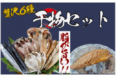 湯の花　干物セット6種　干物 ひもの おまかせ アジ サバ あじ さば 詰め合わせ 伊豆 海鮮 静岡県産　<BC-19>