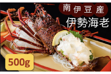 伊勢海老セット[Ａ]　【いせえび 伊勢海老 伊勢海老 鮮魚 海老 えび 人気 名産 高級 おすすめ 数量限定 贈答 静岡県 南伊豆 伊豆 】<AG-7>　