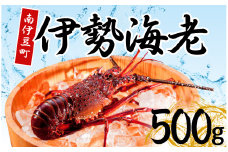 伊勢海老セット[Ａ]　【いせえび 伊勢海老 伊勢海老 鮮魚 海老 えび 人気 名産 高級 おすすめ 数量限定 贈答 静岡県 南伊豆 伊豆 】<AG-7>　
