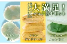 メロン最中セット[B]　【 スイーツ デザート メロン めろん 国産 ふるさと納税 果物 メロン ふるさと納税 最中 もなか おやつ デザート ダックワーズ 】　<AW-8>