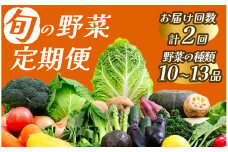 【定期便】 旬の野菜 2ヶ月の定期便　【 野菜 やさい きのこ 山菜 セット 定期 旬 定期便 人気 詰め合わせ 2ヵ月 おまかせ 新鮮  】　<BC-36>