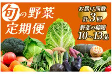 【定期便】 旬の野菜 3ヶ月の定期便　【 野菜 やさい きのこ 山菜 セット 定期 旬 定期便 人気 詰め合わせ 3ヵ月 おまかせ 新鮮  】　<BC-49>