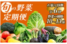 【定期便】 旬の野菜 6ヶ月の定期便　【 野菜 やさい きのこ 山菜 セット 定期 旬 定期便 人気 詰め合わせ 6ヵ月 おまかせ 新鮮  】　<BC-57>
