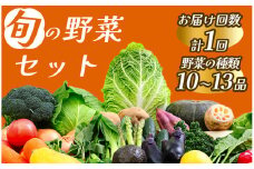 旬の野菜セット　【 野菜 やさい きのこ 山菜 セット 定期 旬 定期便 人気 詰め合わせ 1ヵ月 おまかせ 新鮮  】　<BC-14>